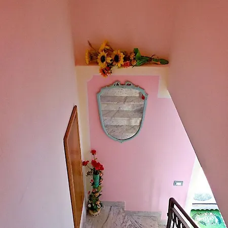 Il Nido Magico *